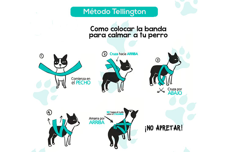 método tellington, terapia por presión contra el pánico a la pirotecnia en perros