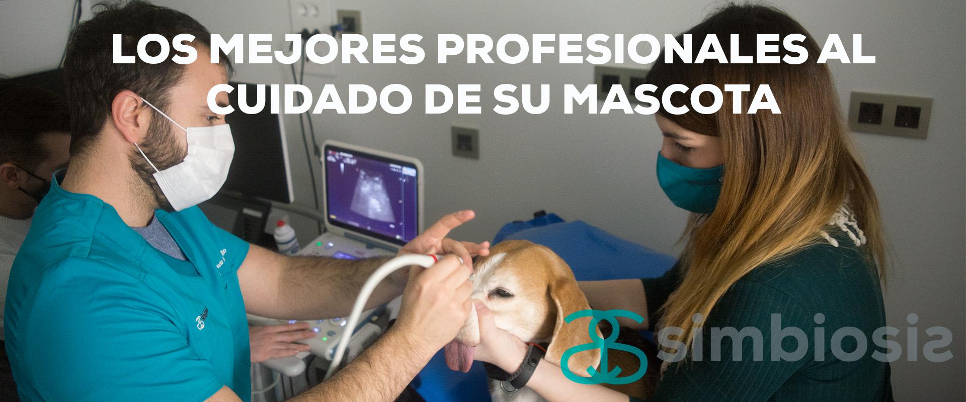 Profesionales Simbiosis Urgencias Veterinarias 24 horas en Getafe