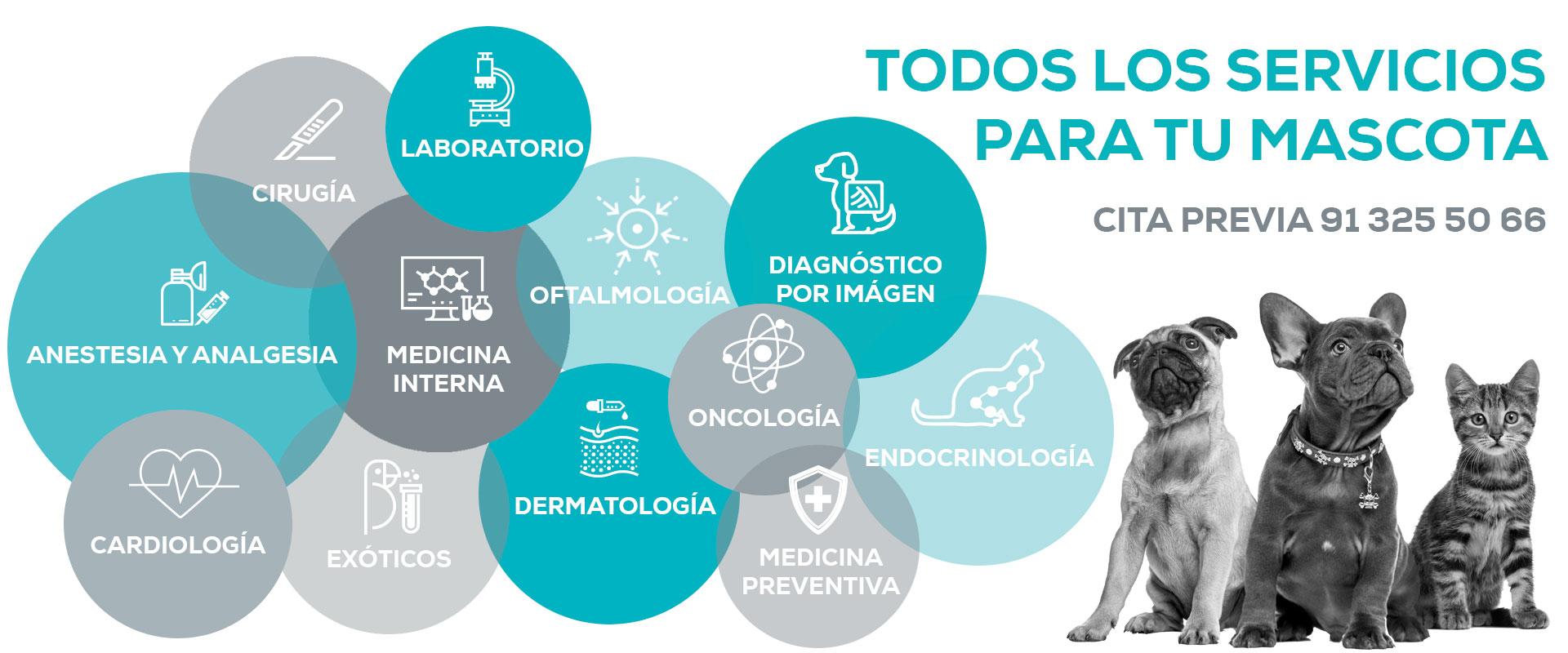 Servicios Simbiosis Hospital Veterinario con Urgencias 24 horas en Getafe